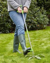 No-Bend Weed Remover